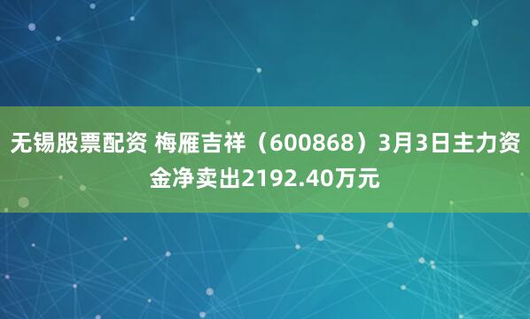 无锡股票配资 梅雁吉祥（600868）3月3日主力资金净卖出2192.40万元