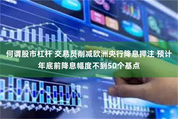 何谓股市杠杆 交易员削减欧洲央行降息押注 预计年底前降息幅度不到50个基点