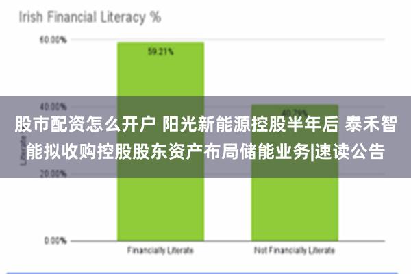 股市配资怎么开户 阳光新能源控股半年后 泰禾智能拟收购控股股东资产布局储能业务|速读公告