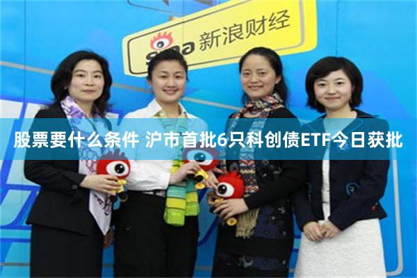股票要什么条件 沪市首批6只科创债ETF今日获批